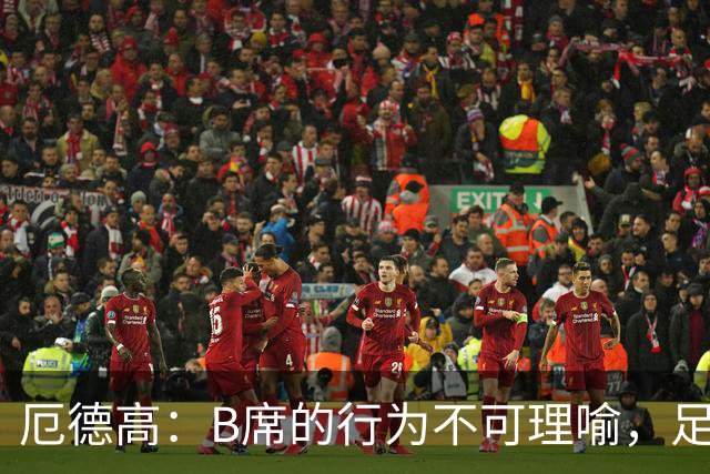 厄德高：B席的行为不可理喻，足球场不应有此举